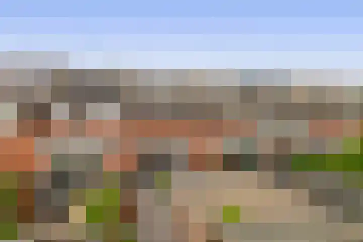Donizettistraat 42 Capelle aan den IJssel thumbnail 19