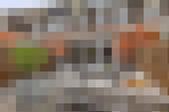 Donizettistraat 42 Capelle aan den IJssel thumbnail 21
