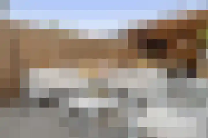 Donizettistraat 42 Capelle aan den IJssel thumbnail 23