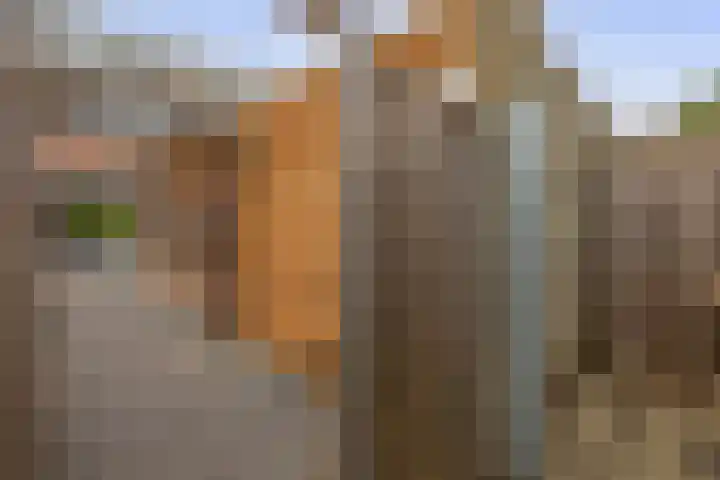 Donizettistraat 42 Capelle aan den IJssel thumbnail 28