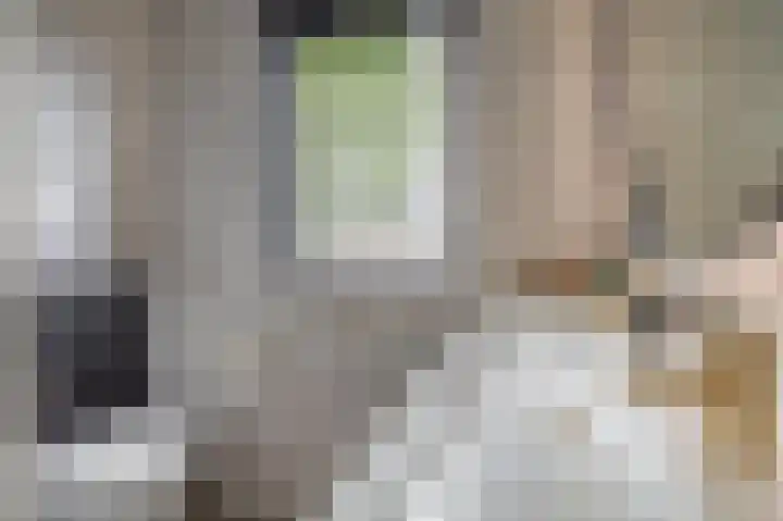 Donizettistraat 42 Capelle aan den IJssel thumbnail 37