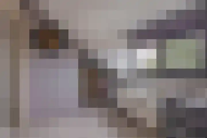 Donizettistraat 42 Capelle aan den IJssel thumbnail 42