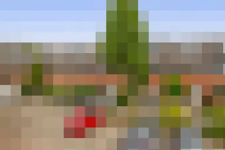 Donizettistraat 42 Capelle aan den IJssel thumbnail 48