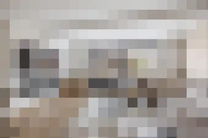 Donizettistraat 42 Capelle aan den IJssel thumbnail 9
