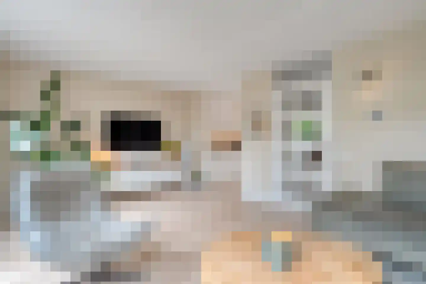 Donizettistraat 5 Zwolle thumbnail 11