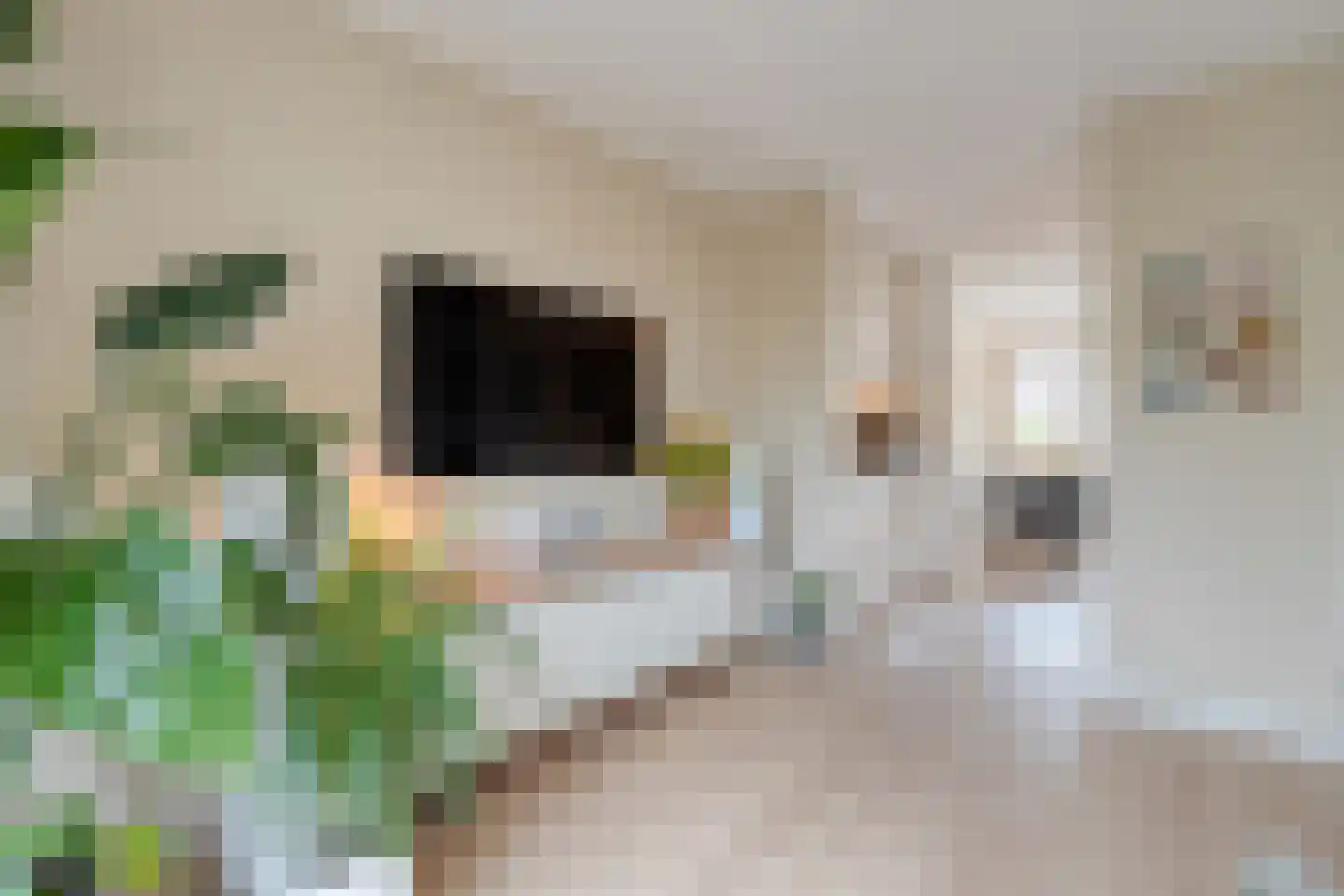 Donizettistraat 5 Zwolle thumbnail 14