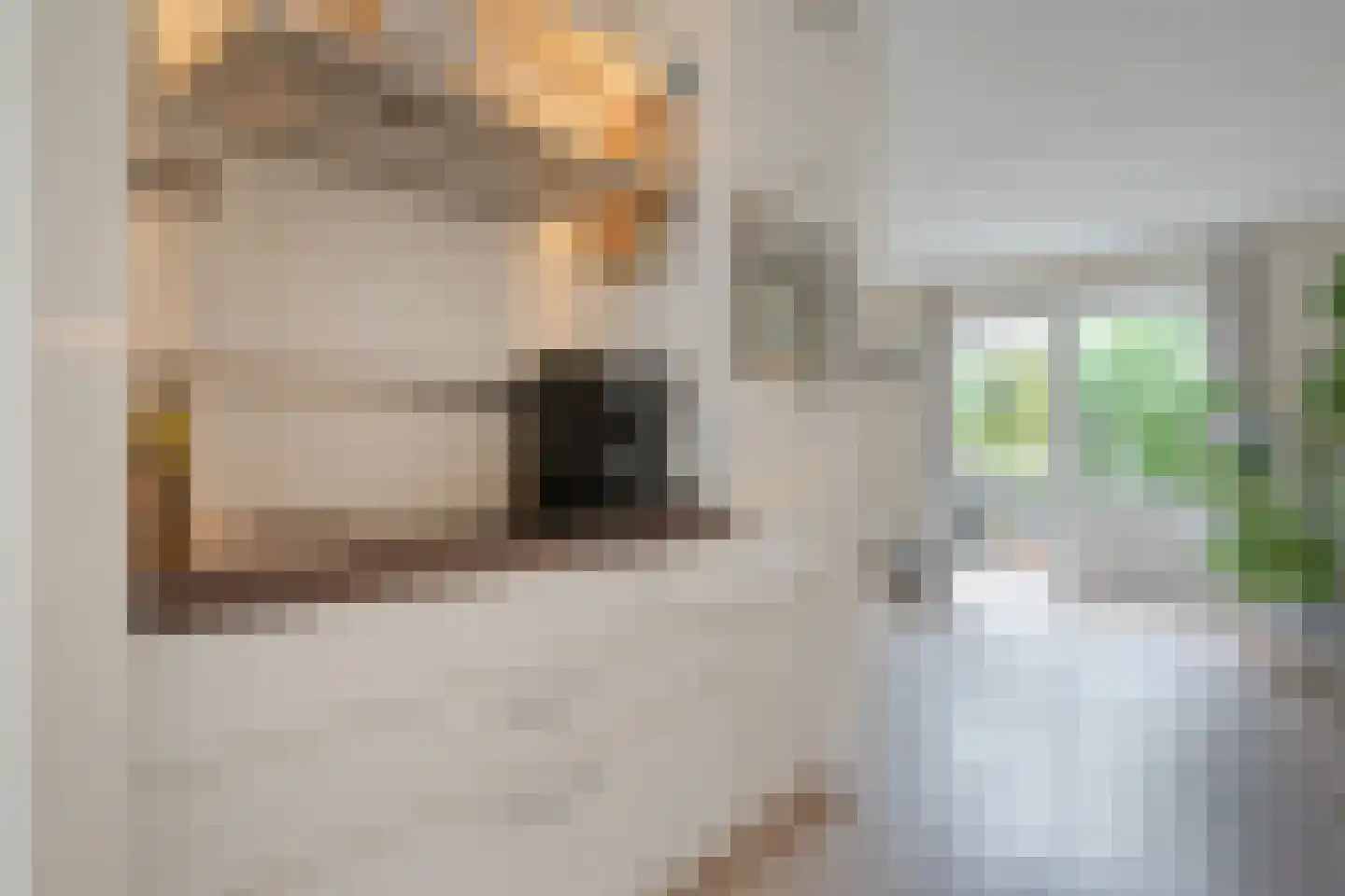 Donizettistraat 5 Zwolle thumbnail 18