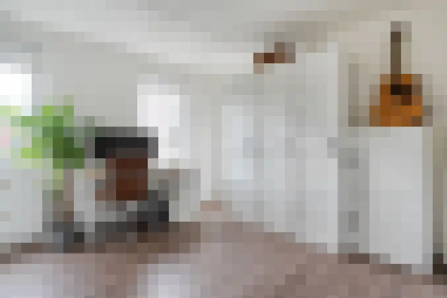 Donizettistraat 5 Zwolle thumbnail 31