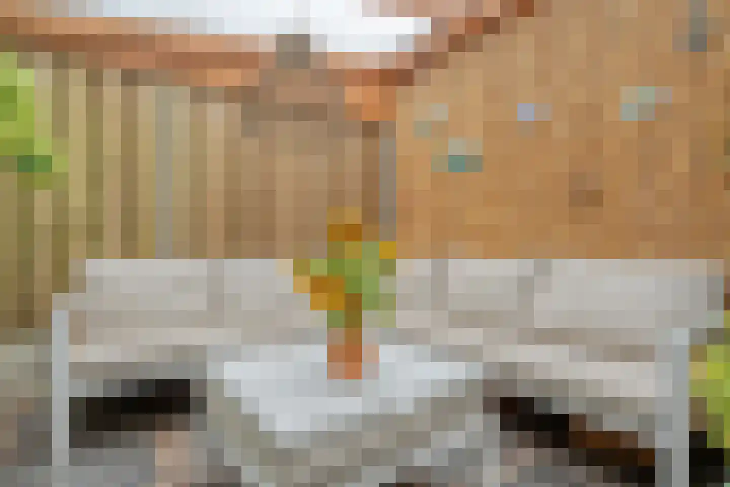 Donizettistraat 5 Zwolle thumbnail 35