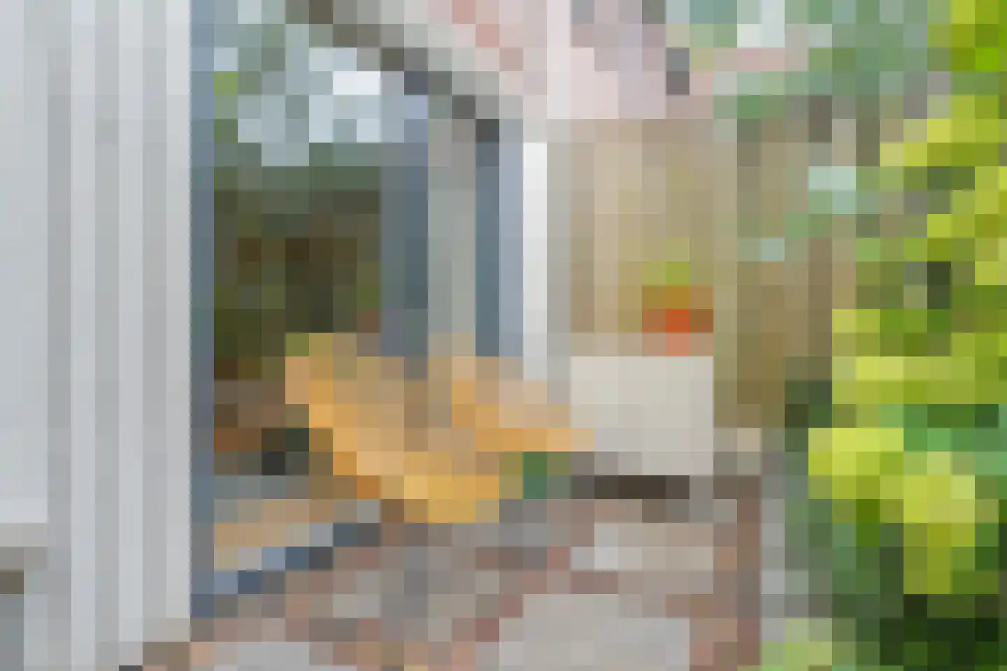 Donizettistraat 5 Zwolle thumbnail 37