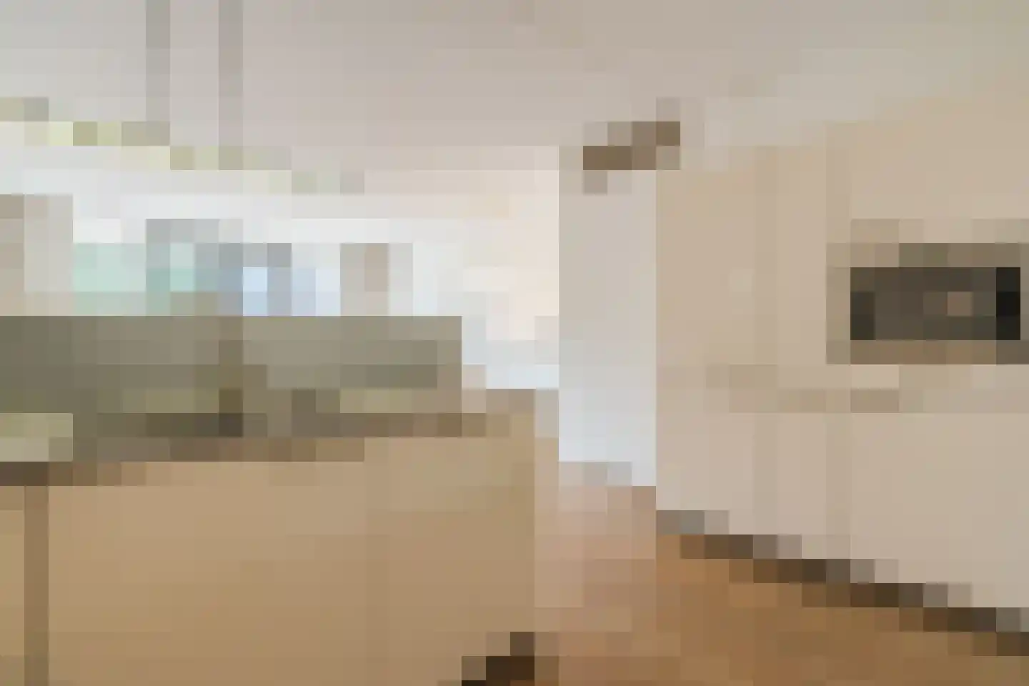 Donjon 101 Geldrop thumbnail 24