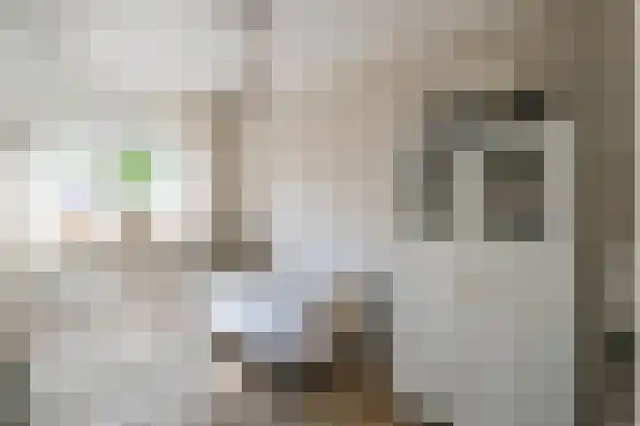 Donjon 11 Waardenburg thumbnail 31