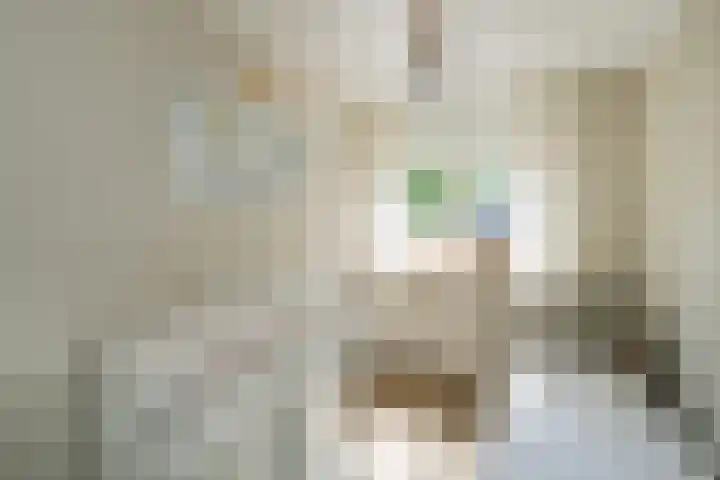Donjon 11 Waardenburg thumbnail 33
