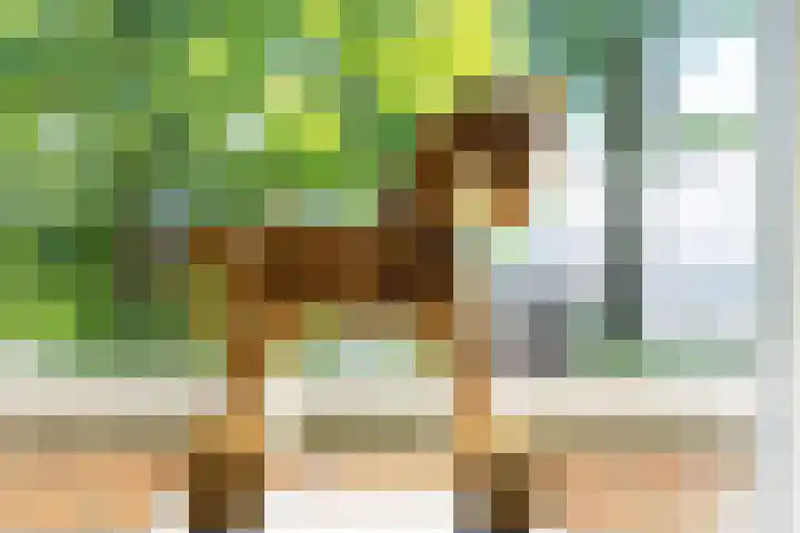 Donjon 11 Waardenburg thumbnail 37
