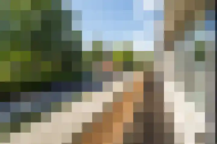 Donjon 11 Waardenburg thumbnail 38