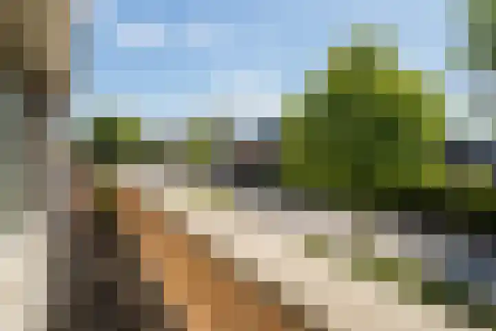 Donjon 11 Waardenburg thumbnail 39