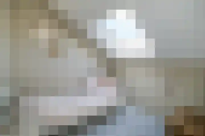 Donjon 11 Waardenburg thumbnail 47