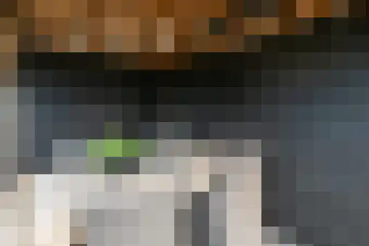 Donjon 11 Waardenburg thumbnail 62