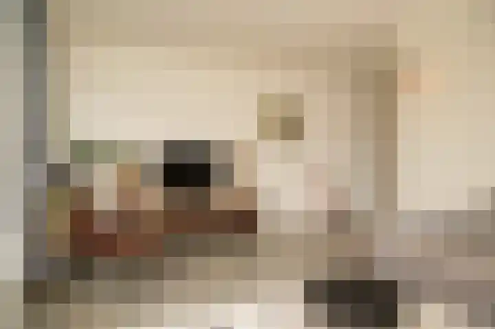 Donjon 18 Dreumel thumbnail 11