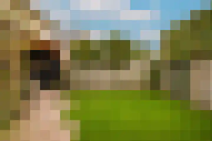Donjon 18 Dreumel thumbnail 39