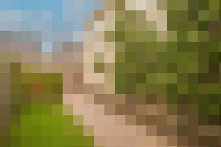 Donjon 18 Dreumel thumbnail 40