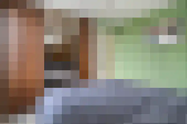 Donjon 18 Dreumel thumbnail 44