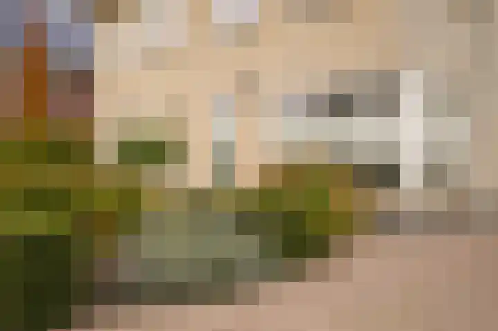 Donjon 18 Dreumel thumbnail 44