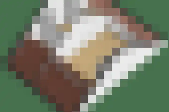 Donjon 18 Dreumel thumbnail 47