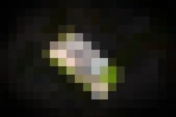 Donjon 18 Dreumel thumbnail 50