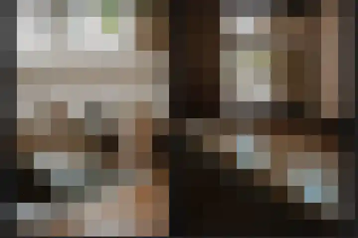 Donjon 18 Dreumel thumbnail 7