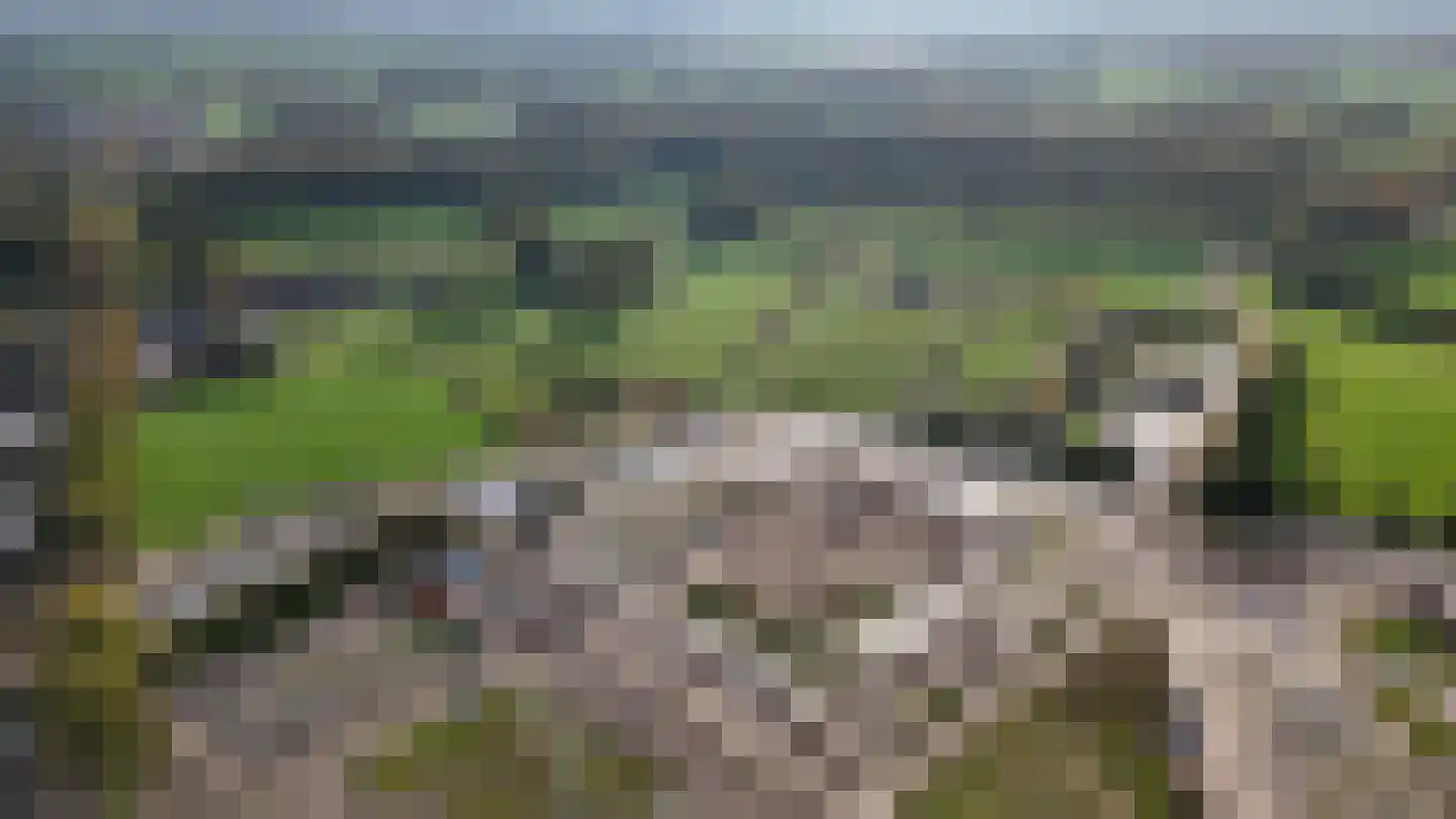 Donjon 27 Scherpenzeel thumbnail 6