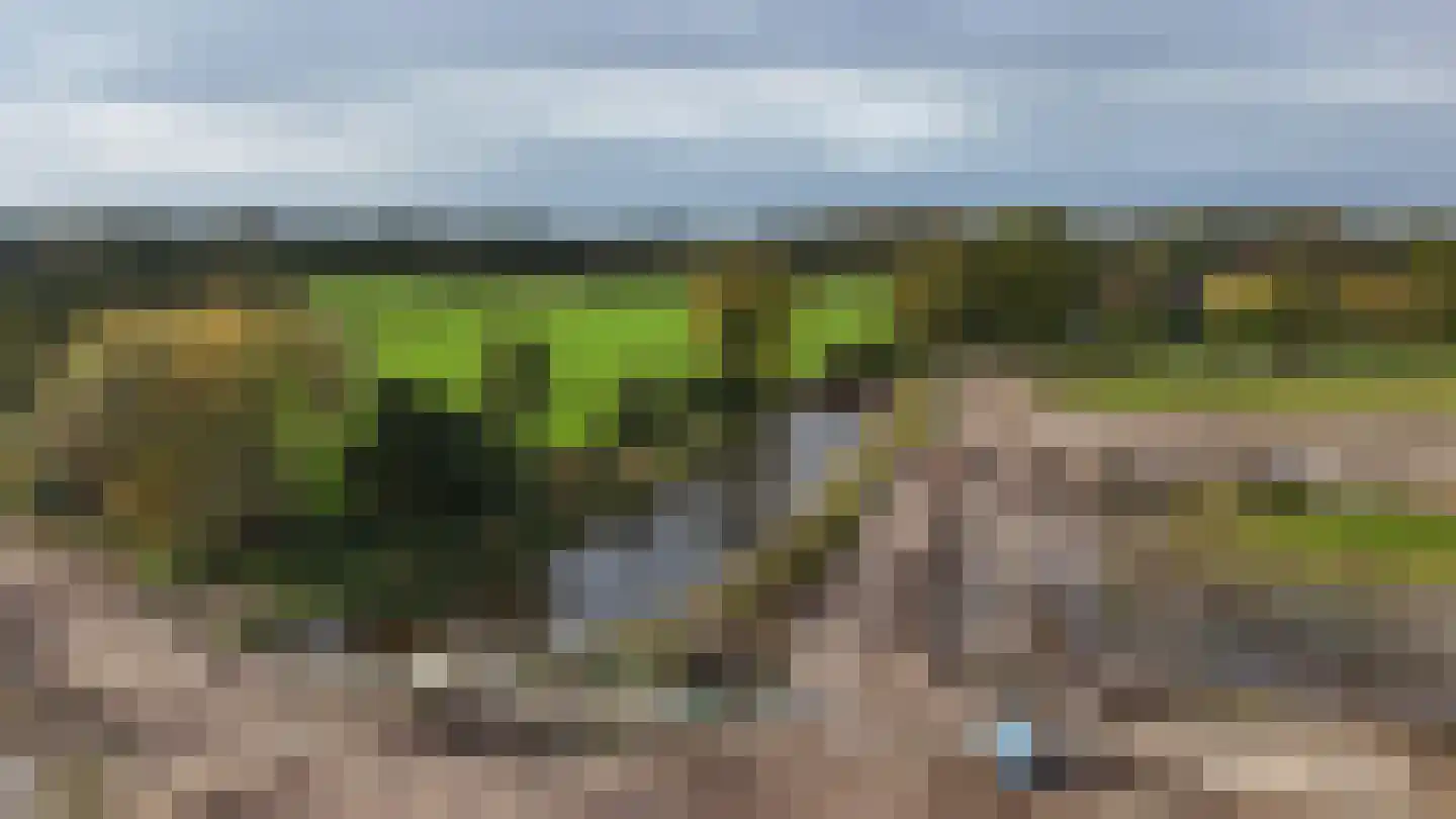 Donjon 27 Scherpenzeel thumbnail 8