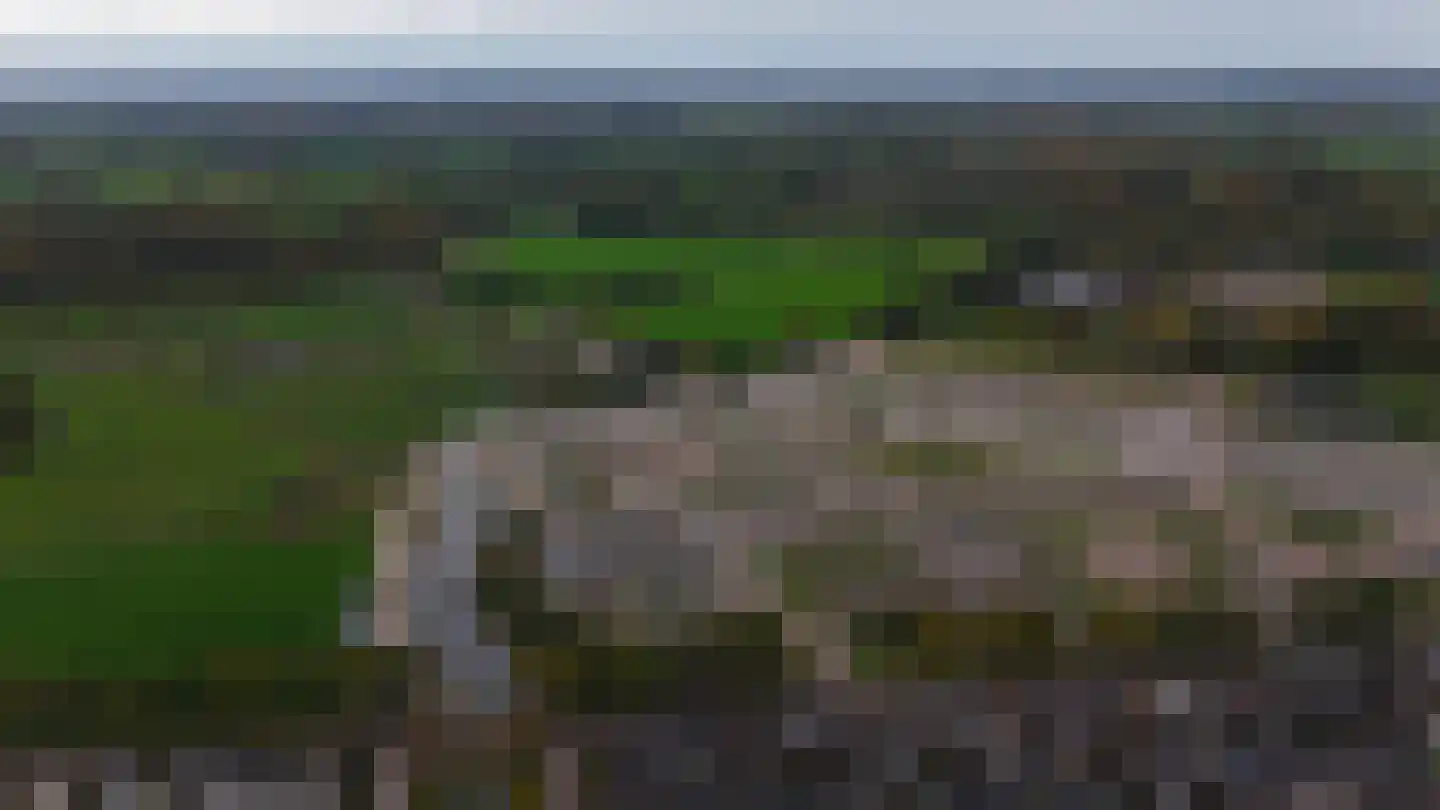 Donjon 29 Scherpenzeel thumbnail 6