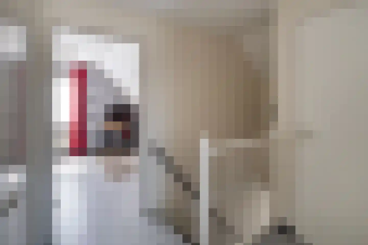 Donjon 30 Waardenburg thumbnail 20