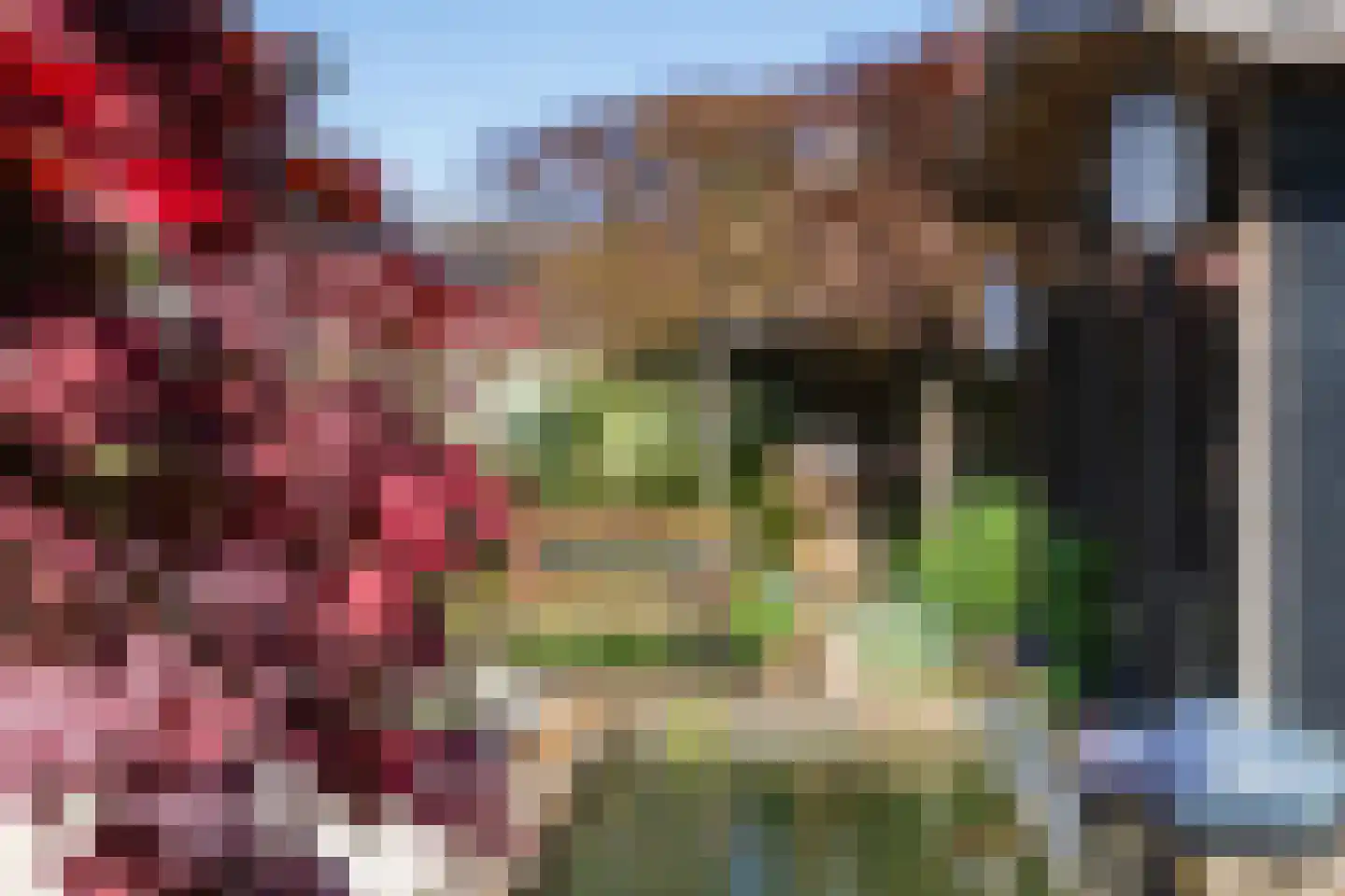 Donjon 30 Waardenburg thumbnail 30