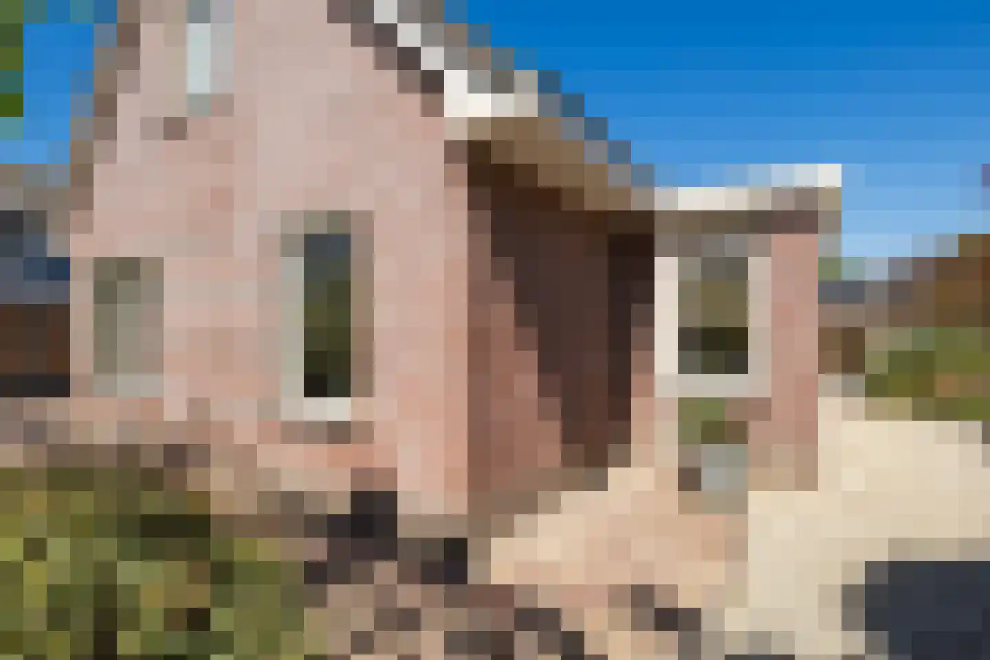 Donjon 30 Waardenburg thumbnail 35