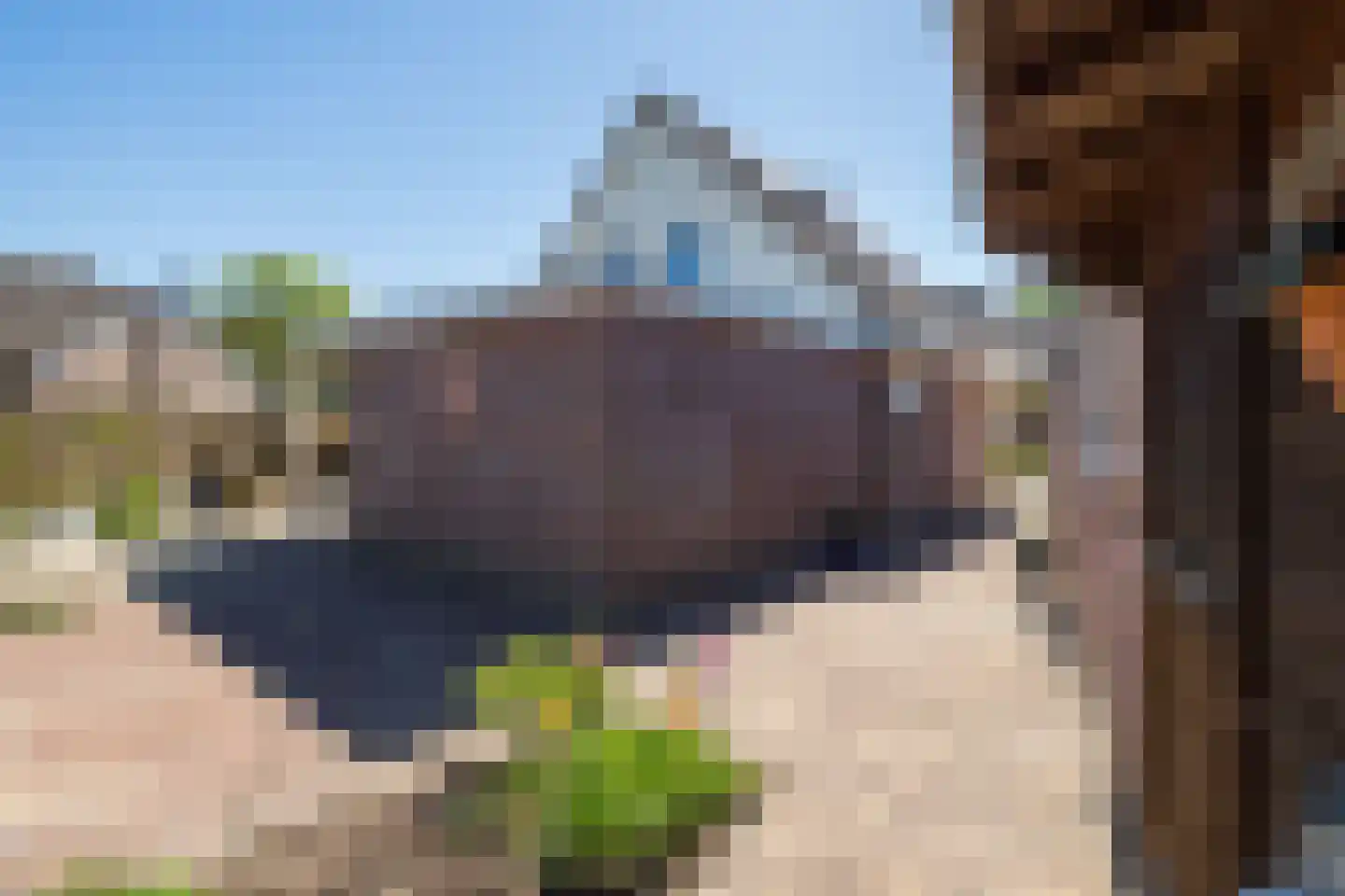 Donjon 30 Waardenburg thumbnail 37