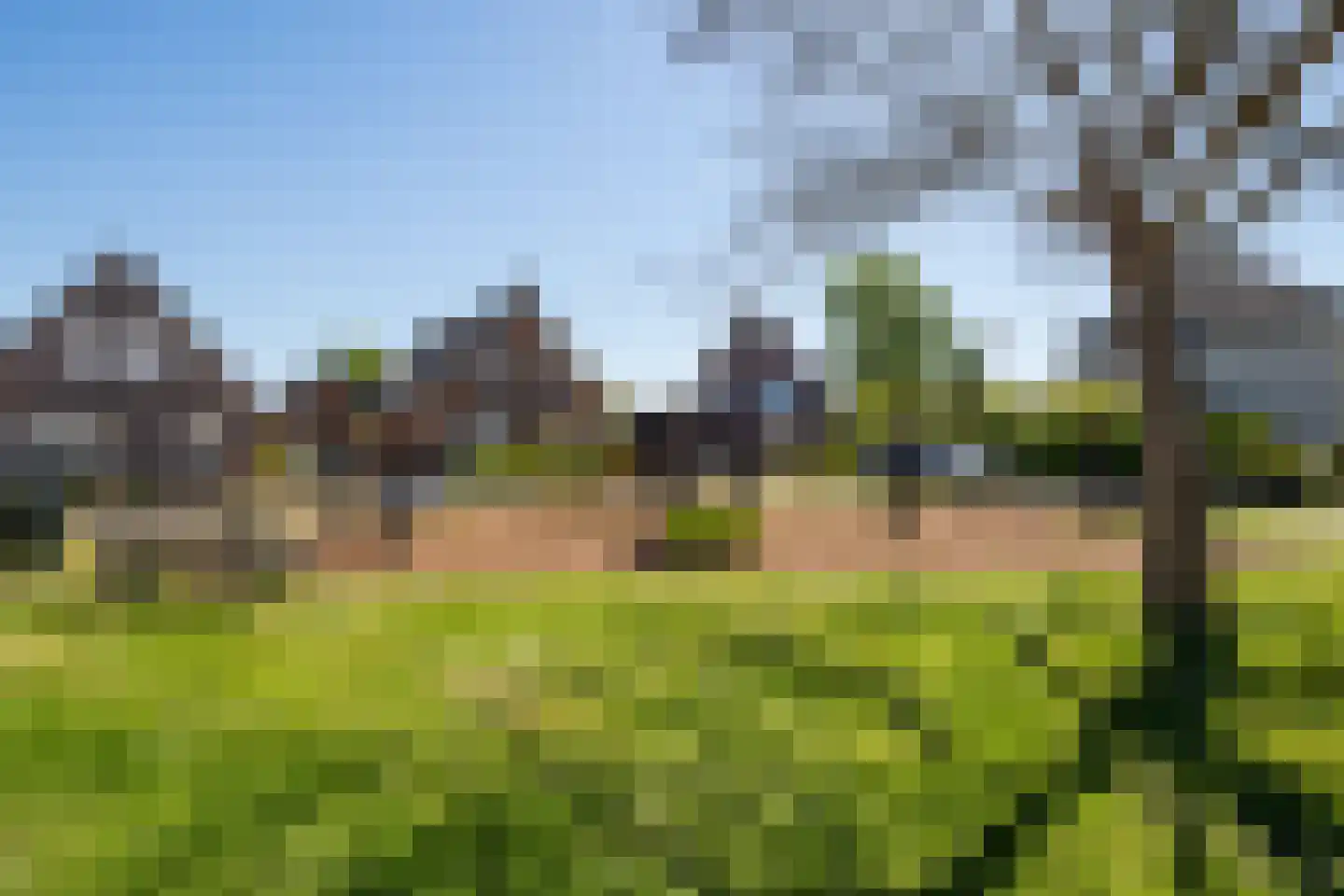 Donjon 30 Waardenburg thumbnail 39