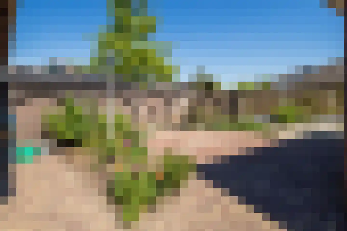 Donjon 30 Waardenburg thumbnail 40