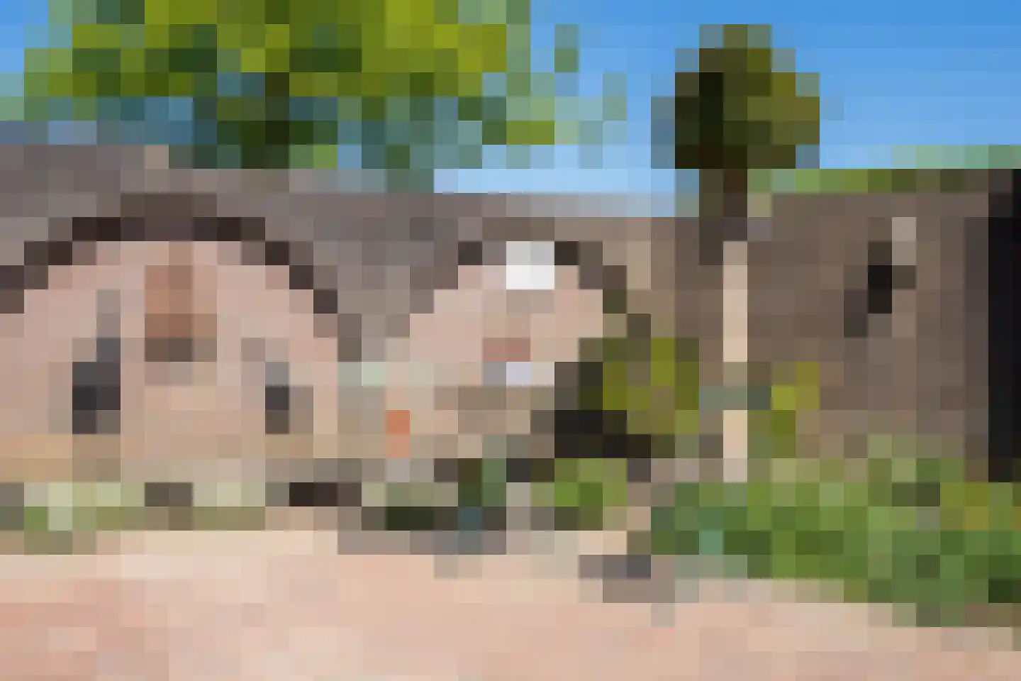 Donjon 30 Waardenburg thumbnail 42