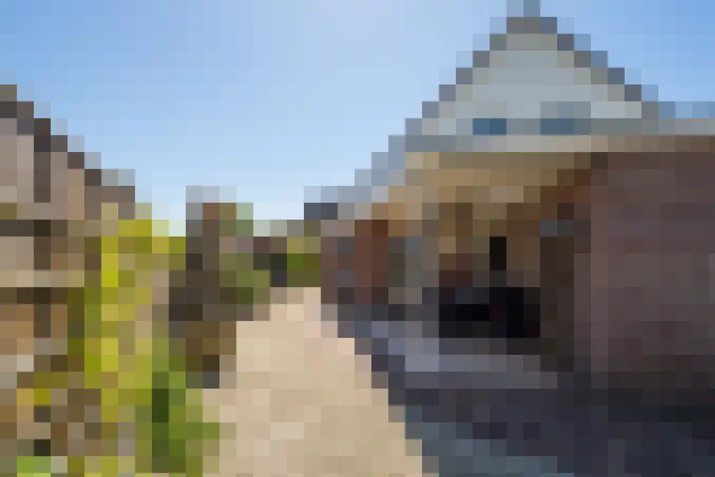 Donjon 30 Waardenburg thumbnail 44