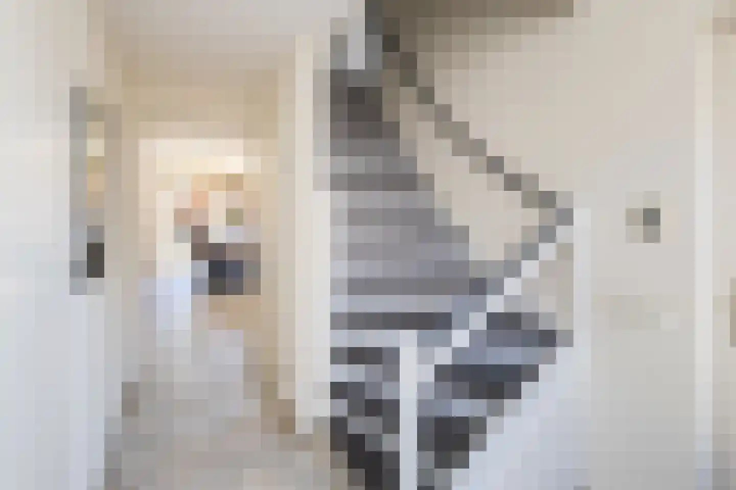 Donjon 30 Waardenburg thumbnail 6