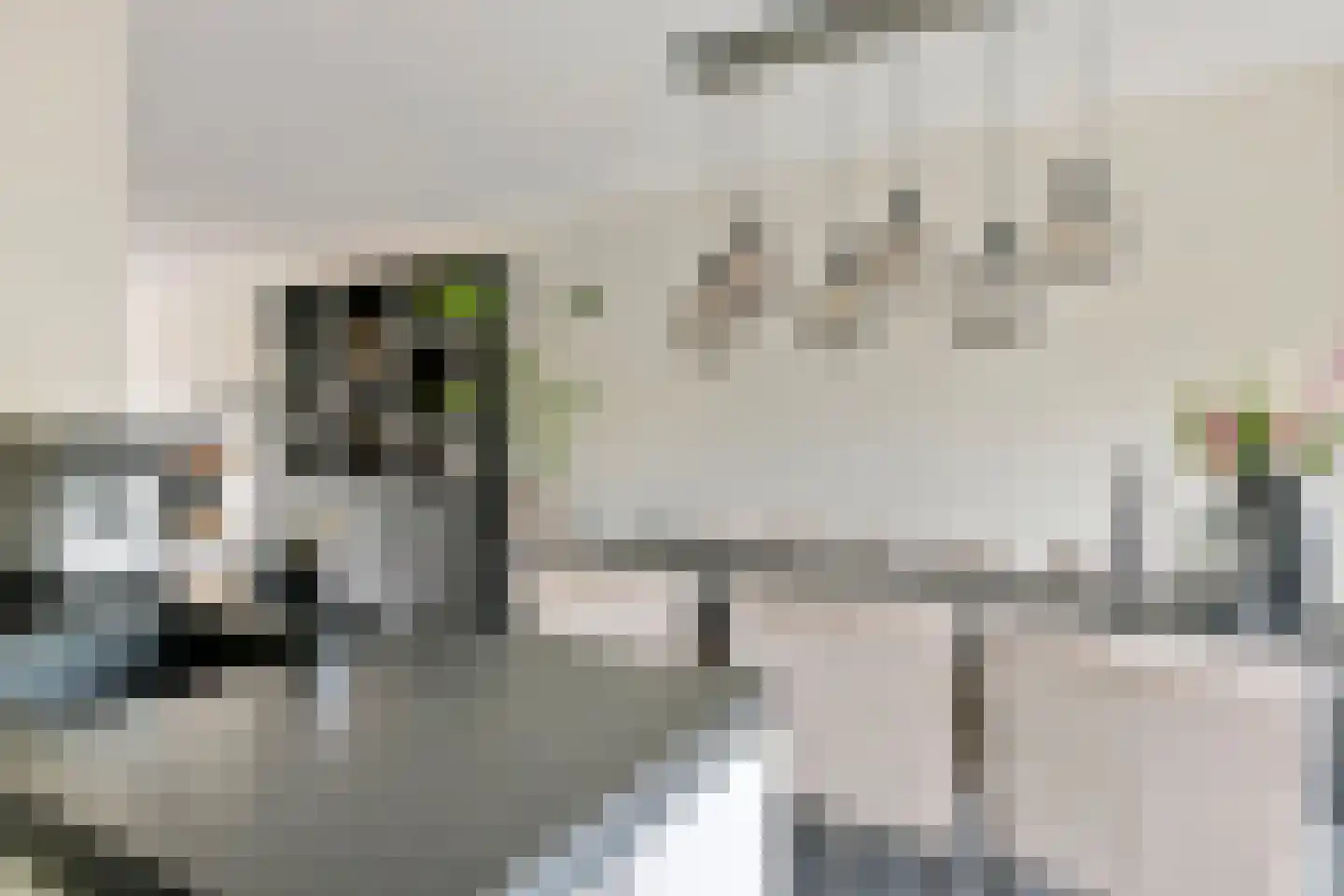 Donjon 40 Dreumel thumbnail 13