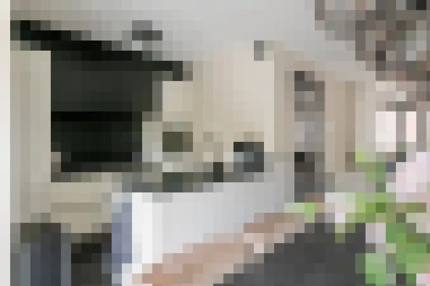 Donjon 40 Dreumel thumbnail 14