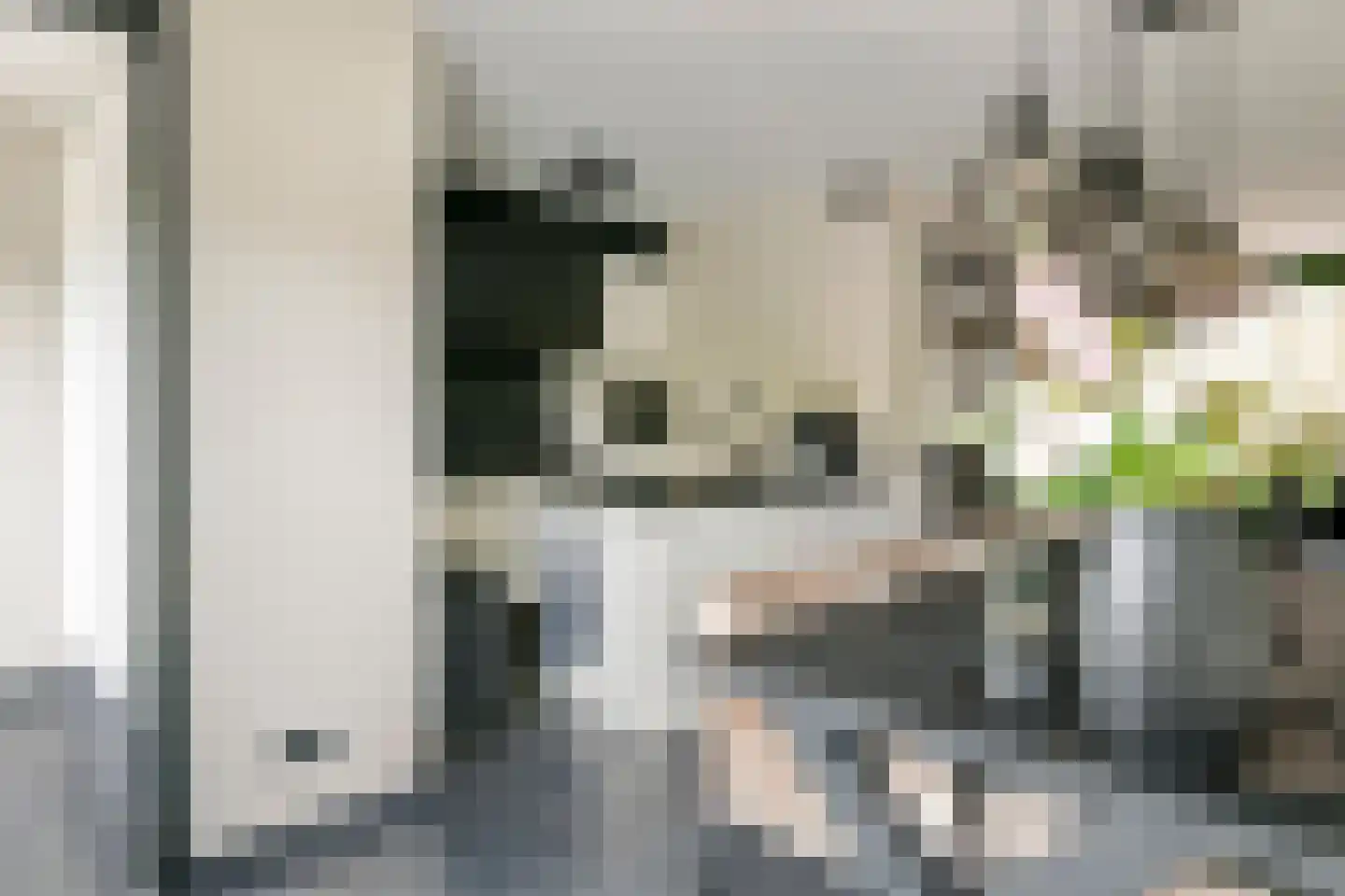 Donjon 40 Dreumel thumbnail 16