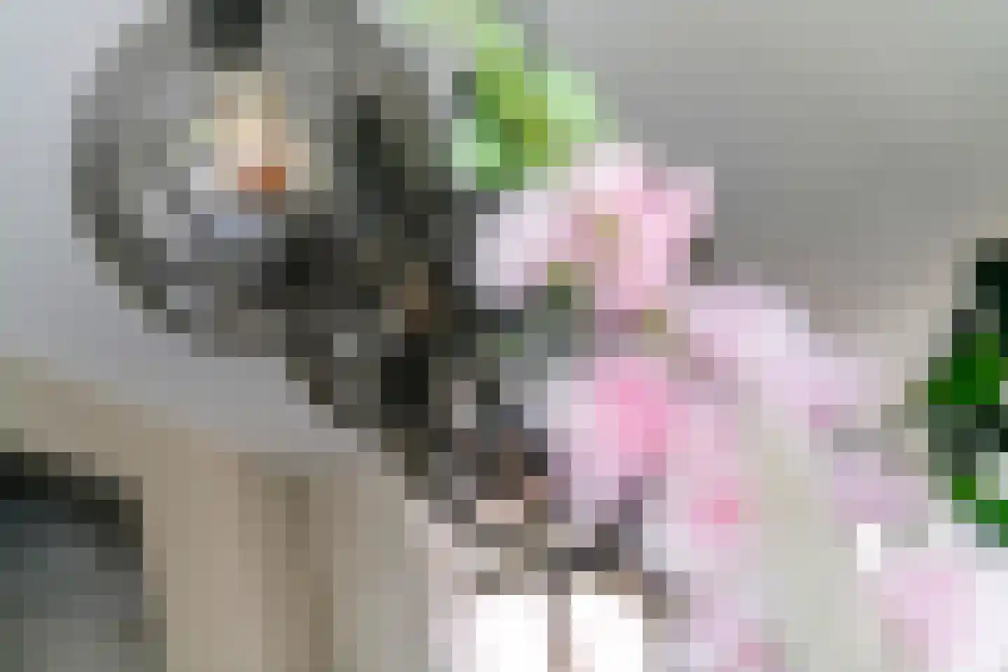 Donjon 40 Dreumel thumbnail 17