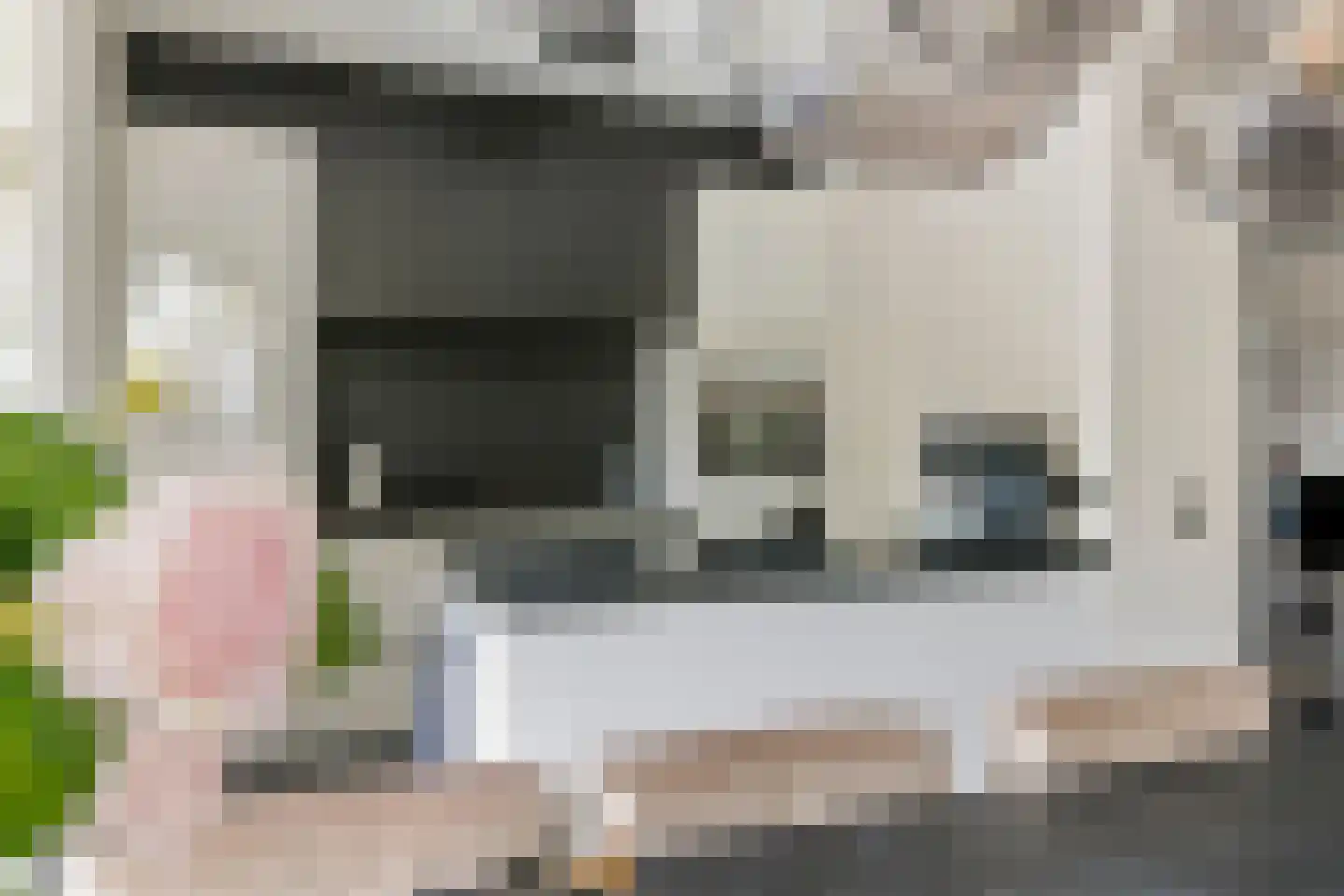 Donjon 40 Dreumel thumbnail 18