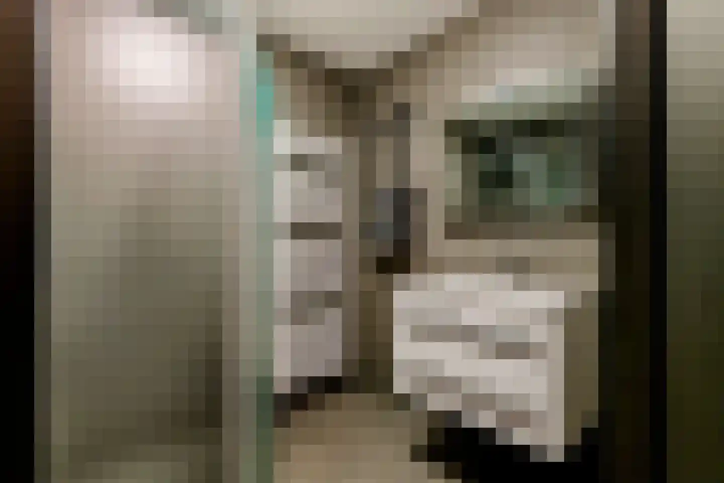 Donjon 40 Dreumel thumbnail 30