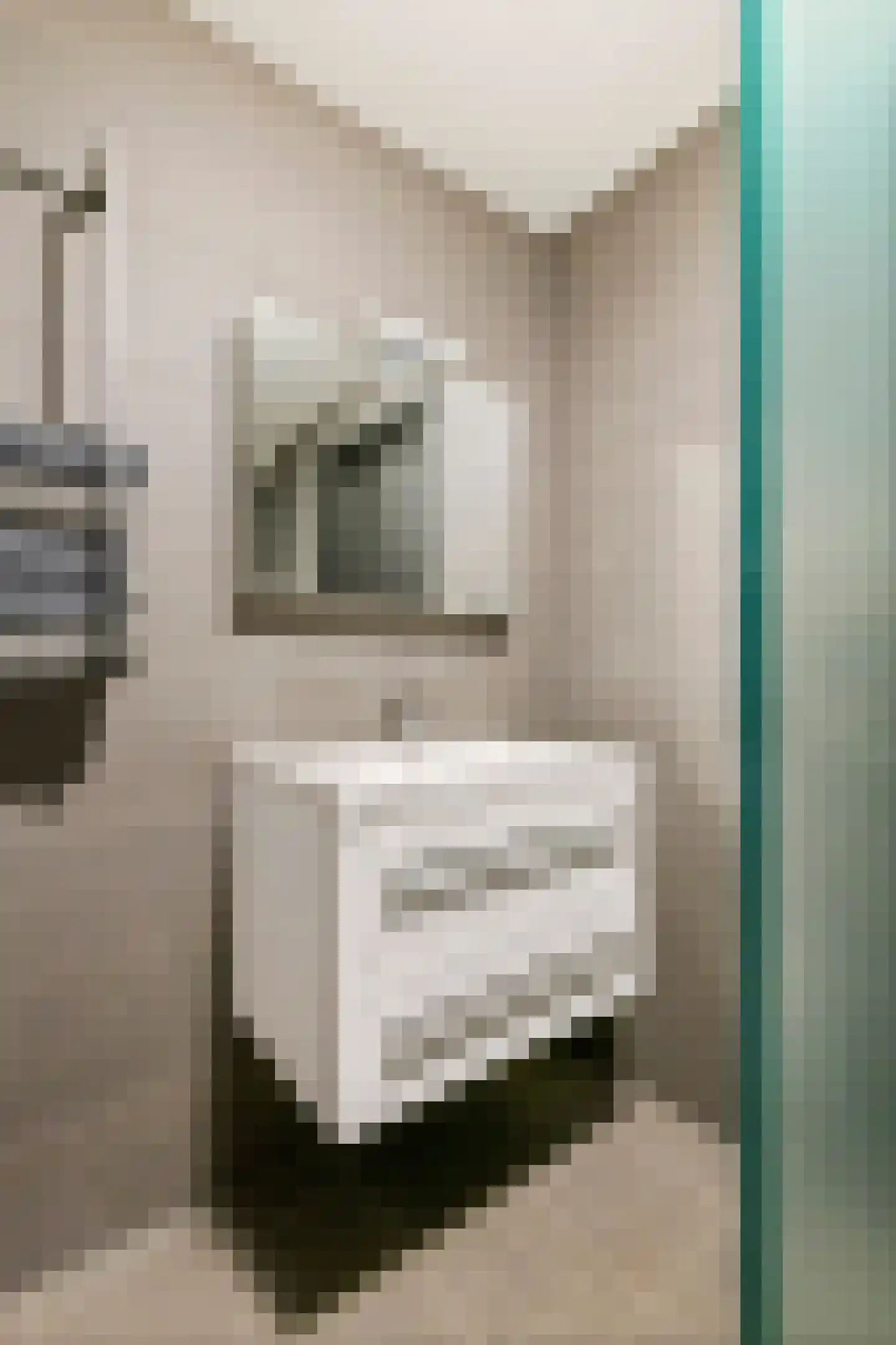 Donjon 40 Dreumel thumbnail 31