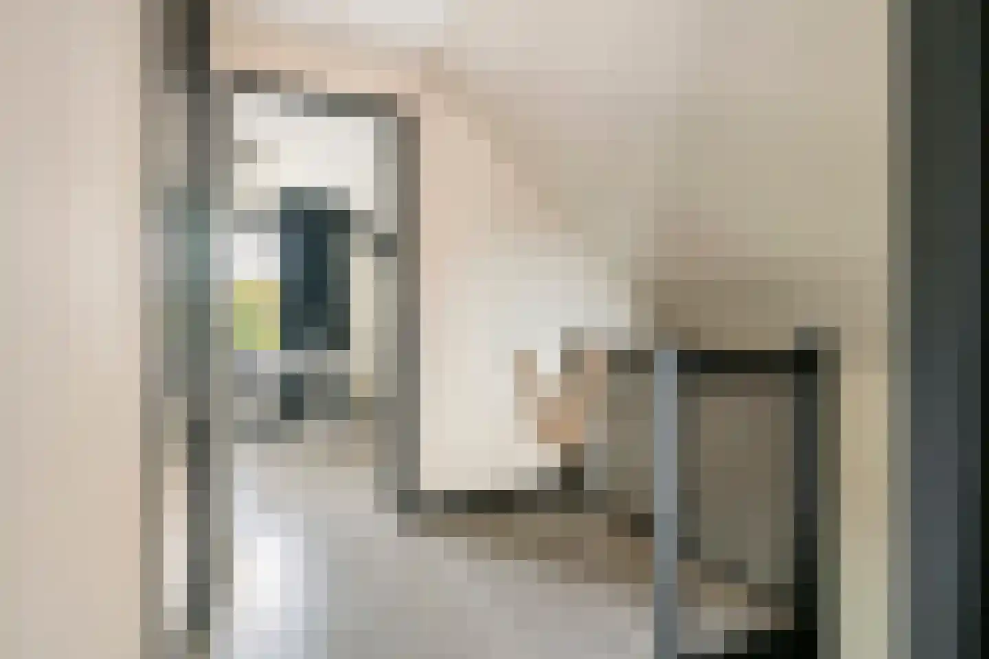 Donjon 40 Dreumel thumbnail 34